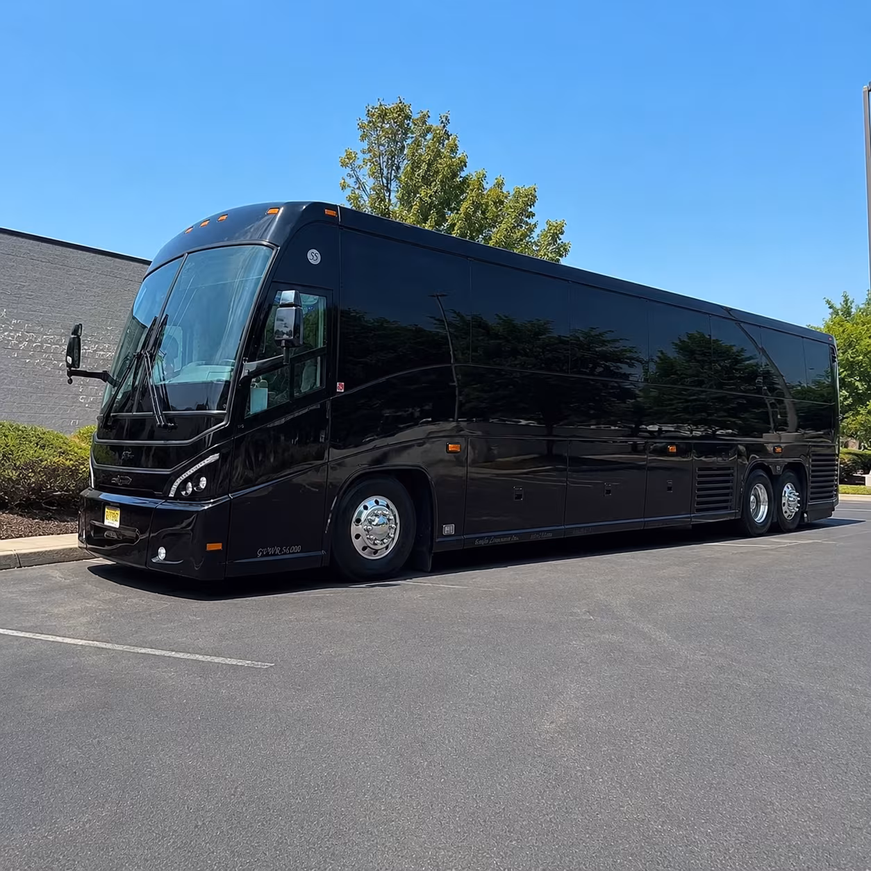 palm coast wine tour brewery transportation